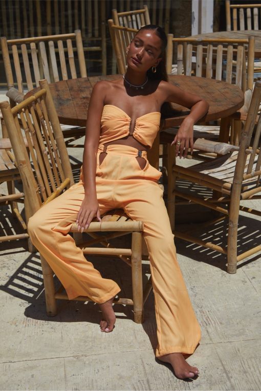 Butterfly suit orange